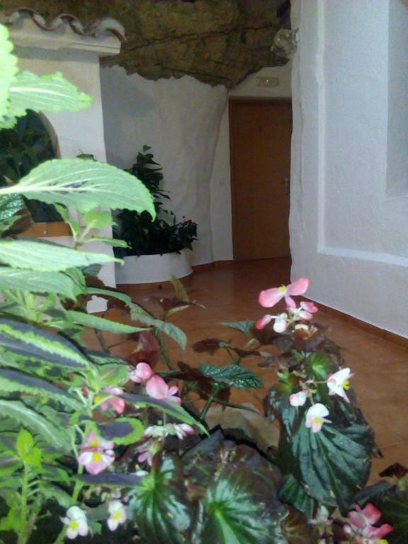 Hostal Batato Vejer de la Frontera Luaran gambar