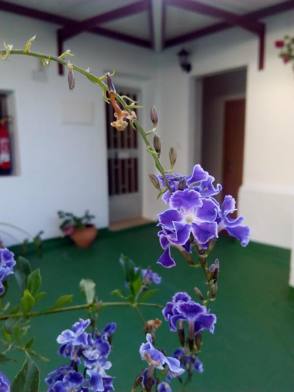 Hostal Batato Vejer de la Frontera Luaran gambar