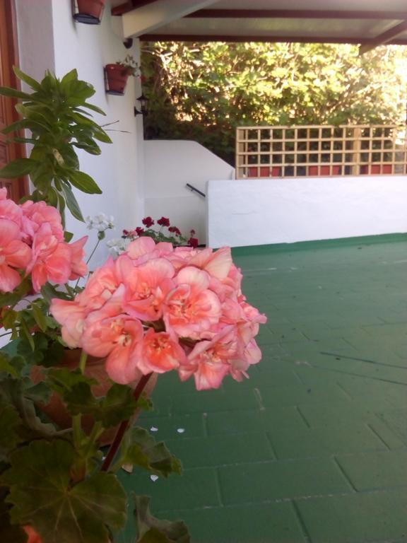 Hostal Batato Vejer de la Frontera Luaran gambar