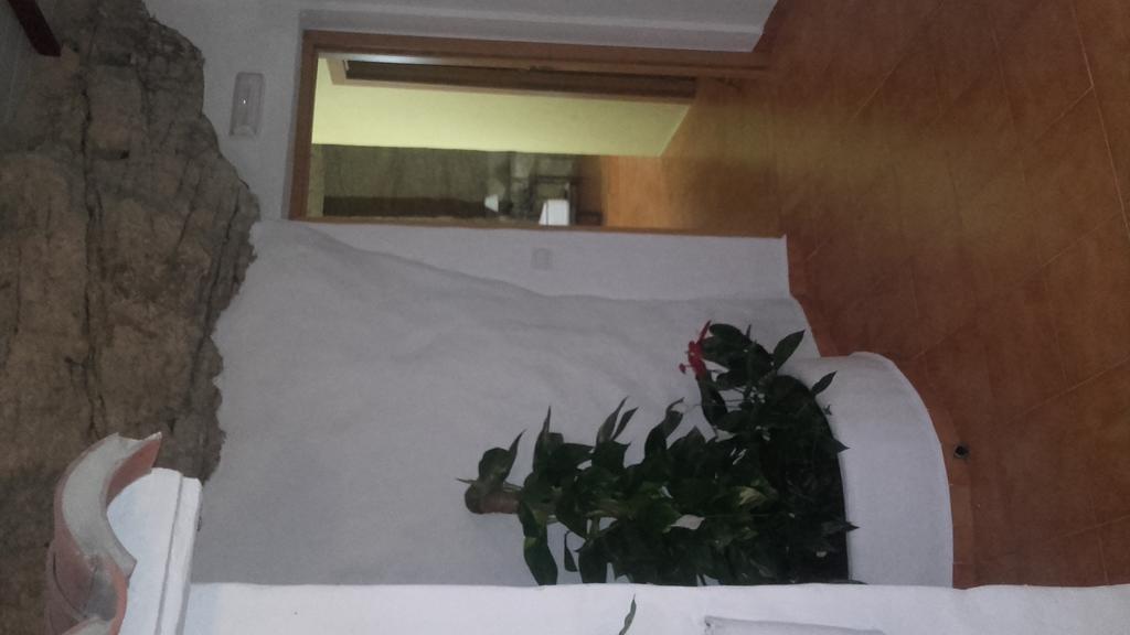 Hostal Batato Vejer de la Frontera Luaran gambar