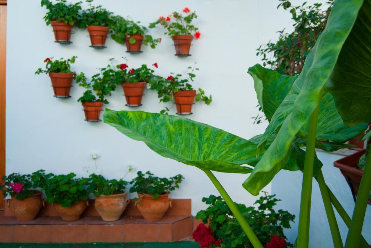 Hostal Batato Vejer de la Frontera Luaran gambar