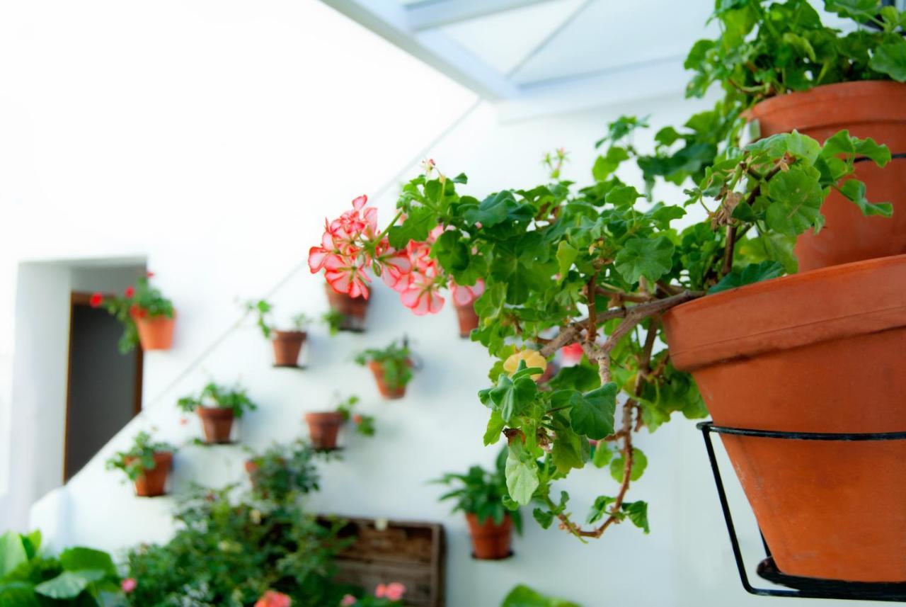 Hostal Batato Vejer de la Frontera Luaran gambar